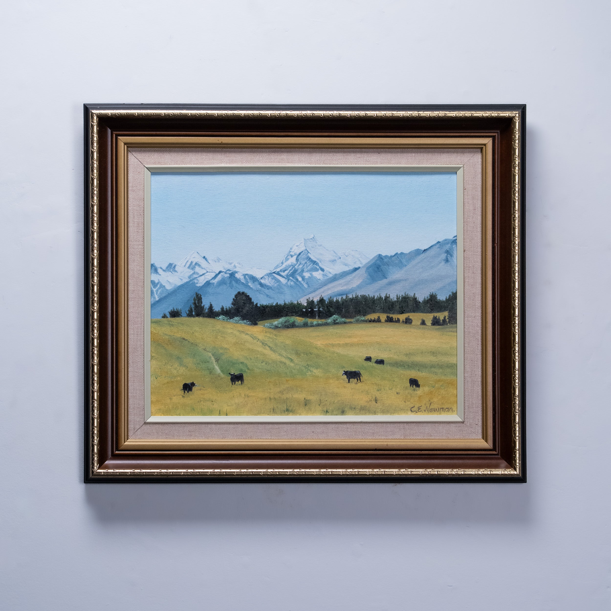Mid-Century New Zealand Landscape, Tasman Downs near Mount Cook, Oil on Canvas by C. E. Newman