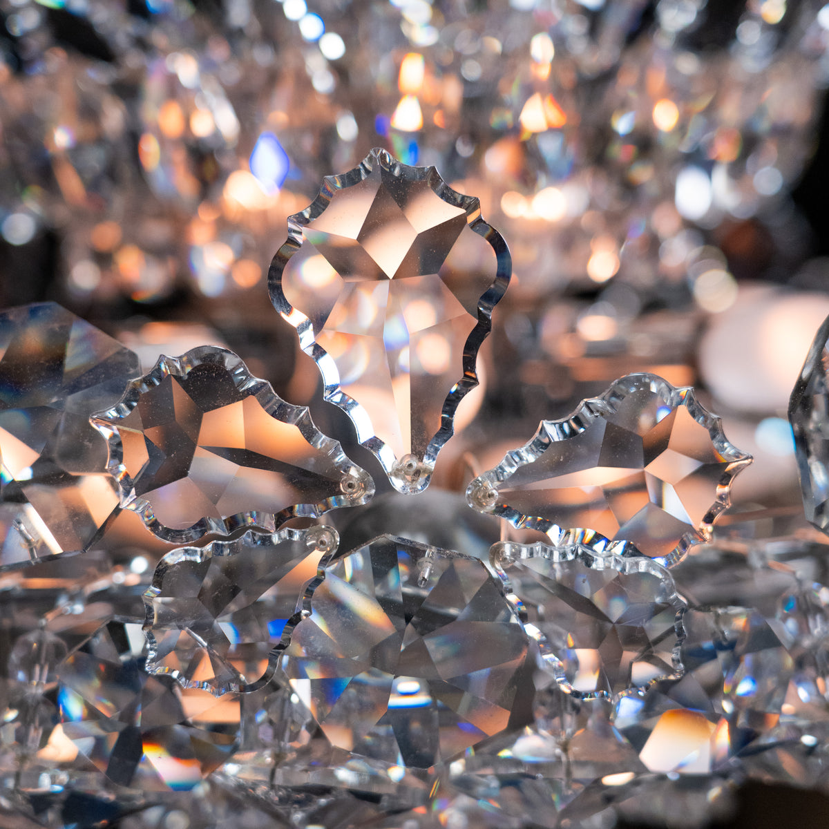 chandelier | Scott Landon Antiques and Interiors.