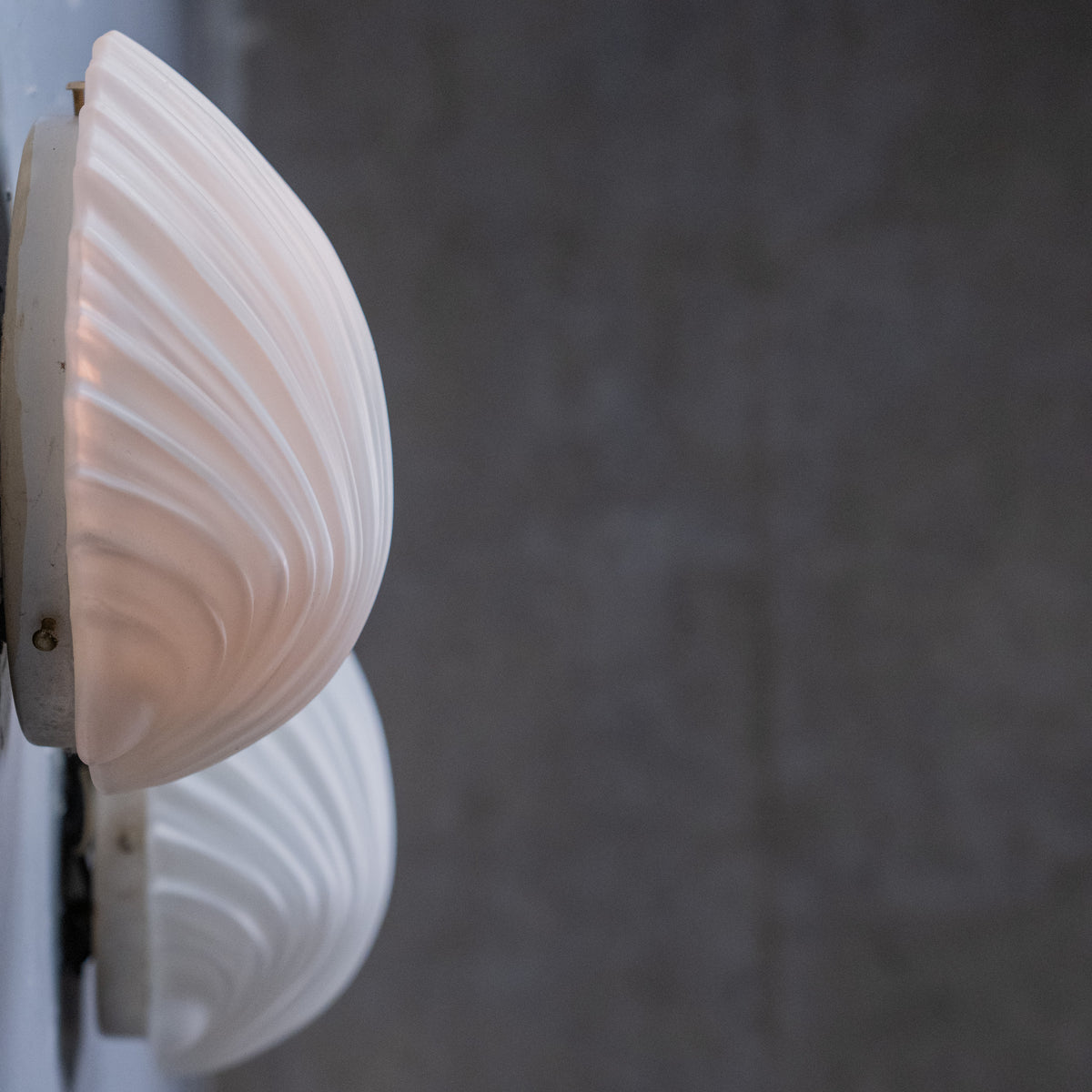 shell sconces | Scott Landon Antiques and Interiors.