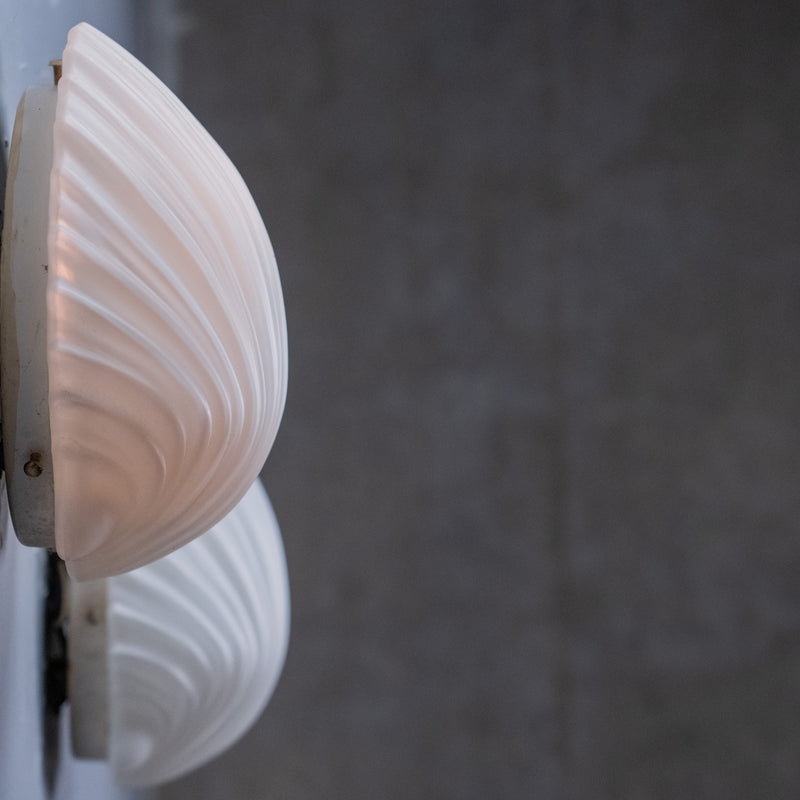 shell sconces | Scott Landon Antiques and Interiors.