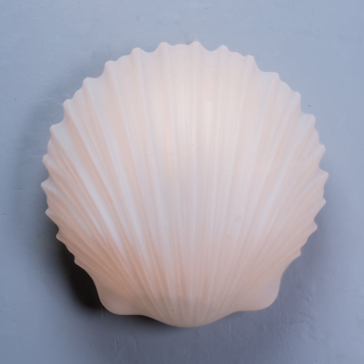 shell sconces | Scott Landon Antiques and Interiors.