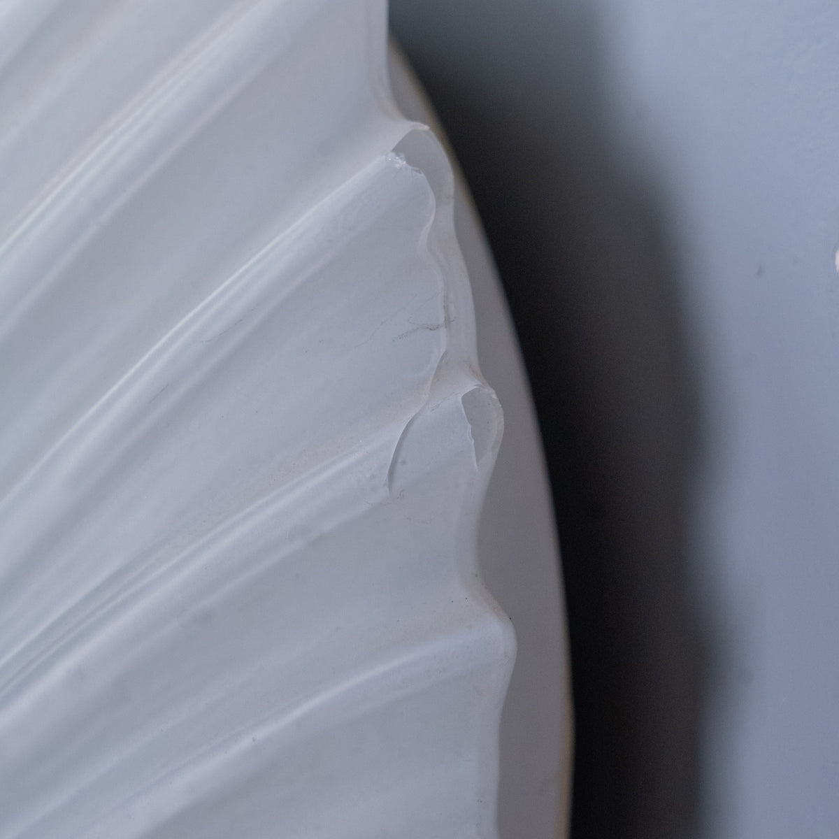 shell sconces | Scott Landon Antiques and Interiors.