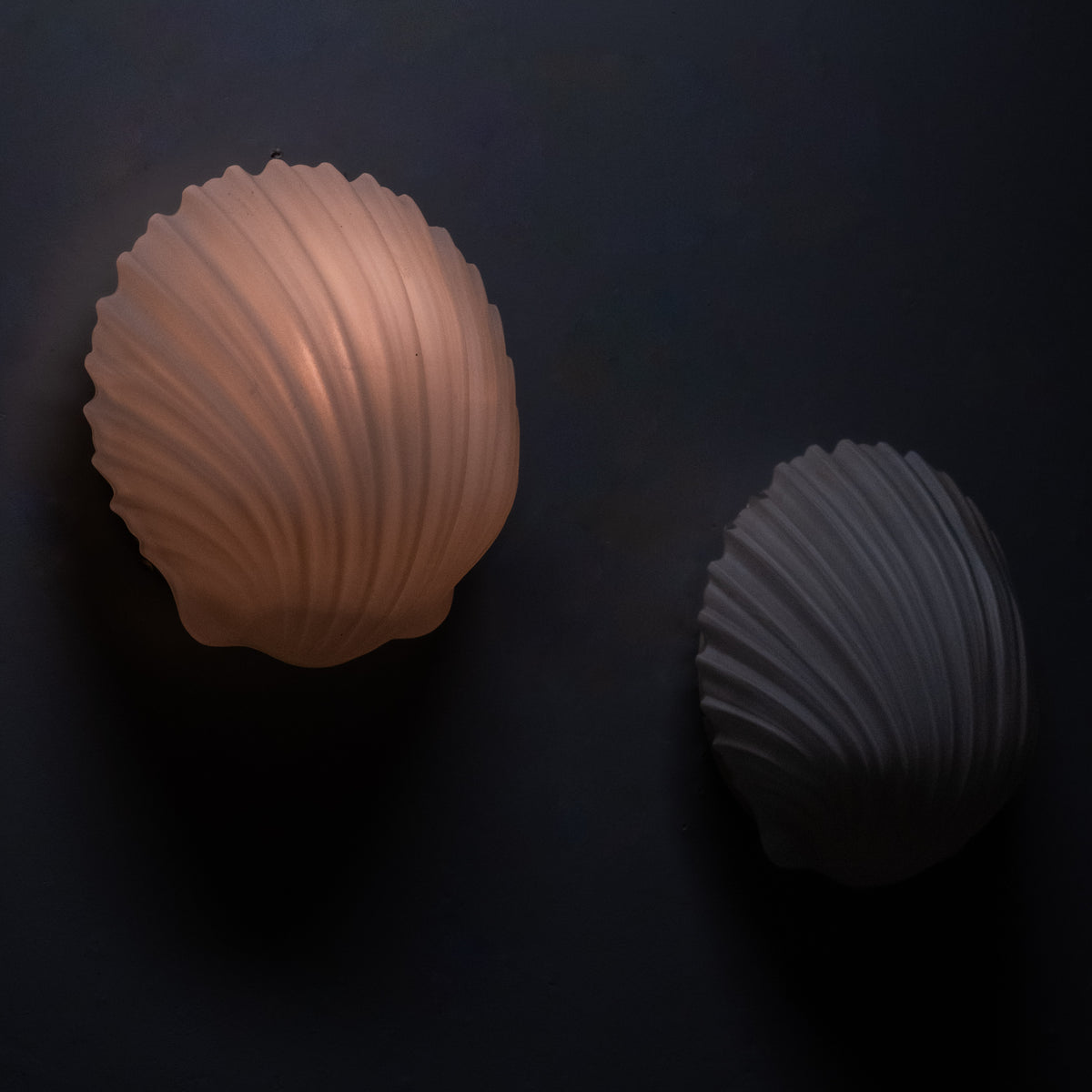 shell sconces | Scott Landon Antiques and Interiors.