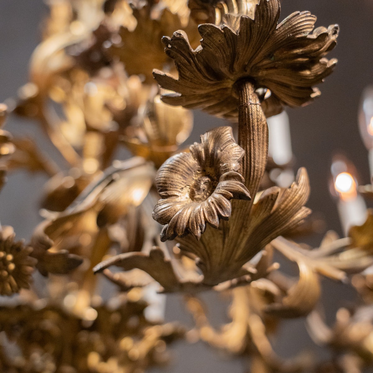 brass chandelier | Scott Landon Antiques and Interiors.
