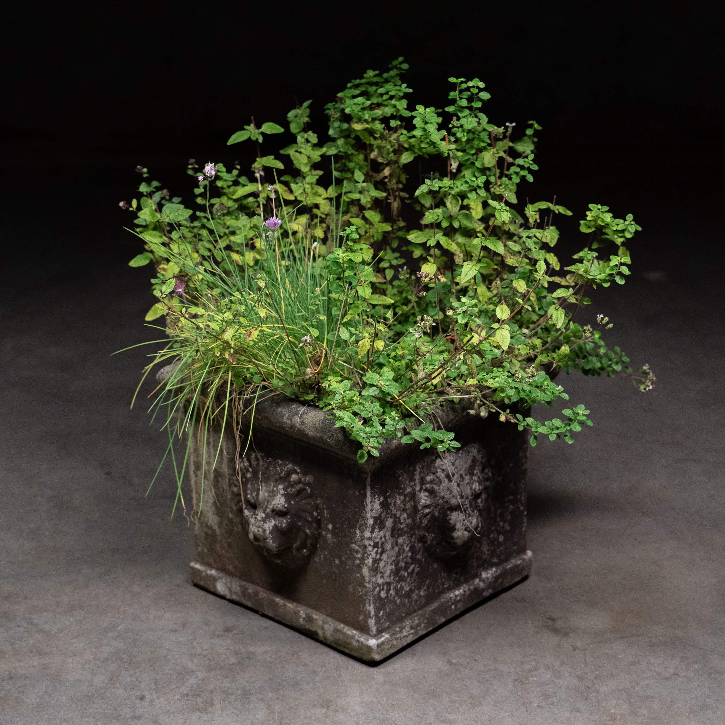 1950 Stone Planter