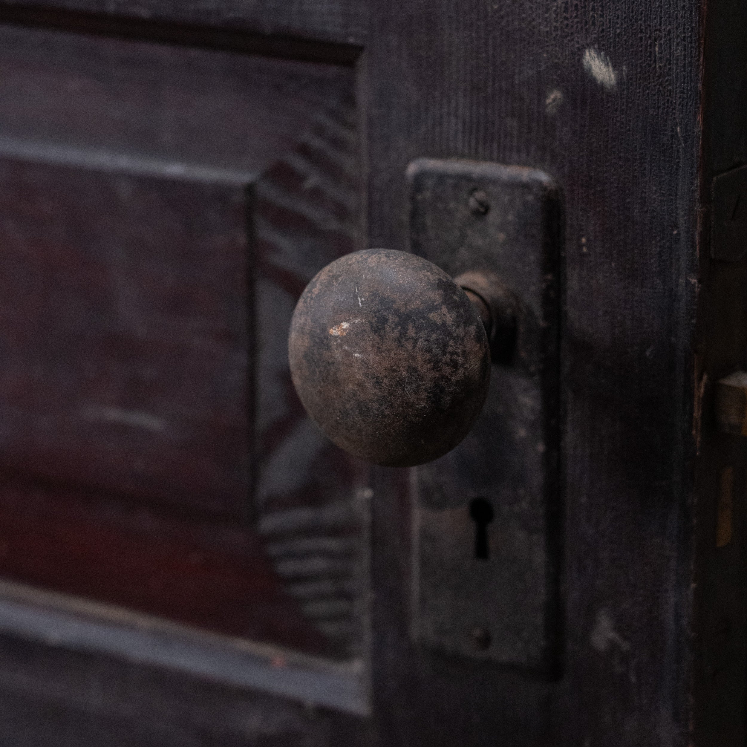 salvaged door - Tosi Salvage | Scott Landon Antiques and Interiors.