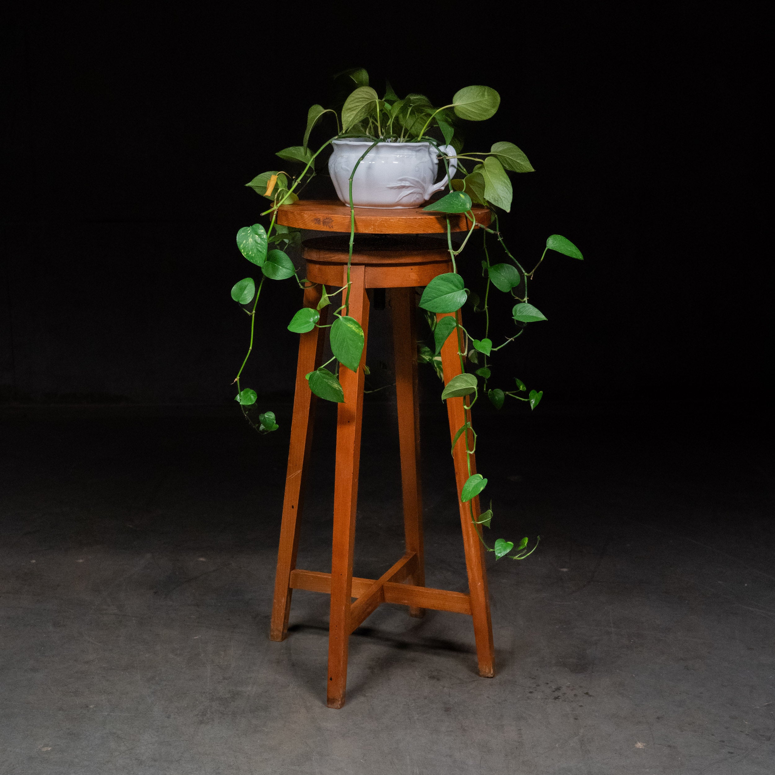 1930 Pine Adjustable Sculptures Stand