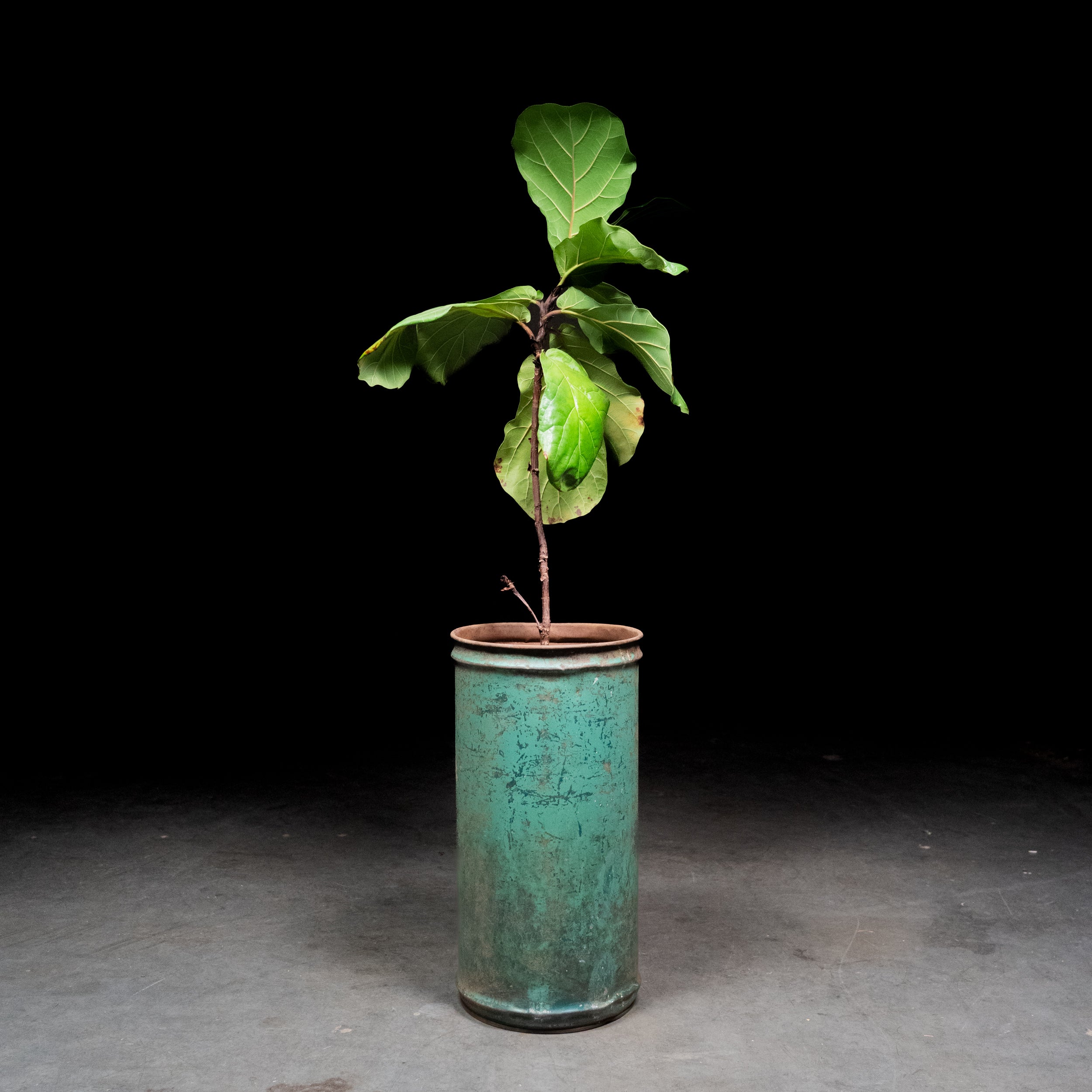 bin | Scott Landon Antiques and Interiors.