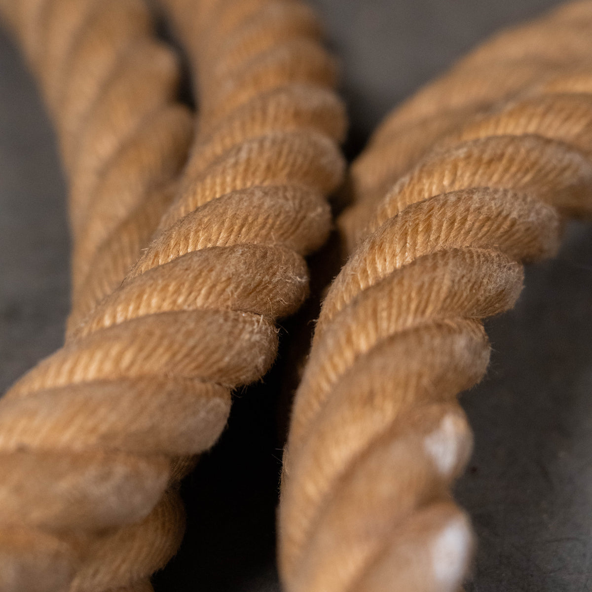 Old Gym Ropes 1920 Salvaged School Gym Climbing Rope with Clips