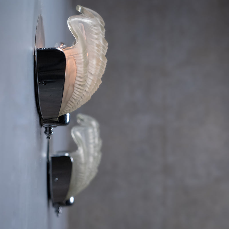 shell sconces | Scott Landon Antiques and Interiors.