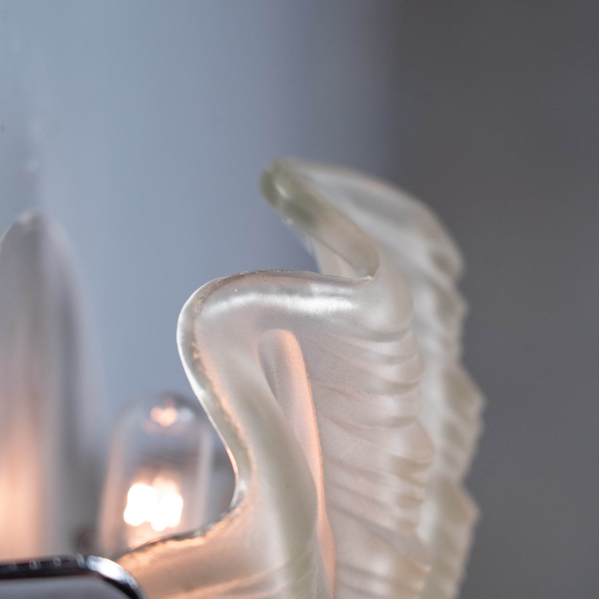 shell sconces | Scott Landon Antiques and Interiors.
