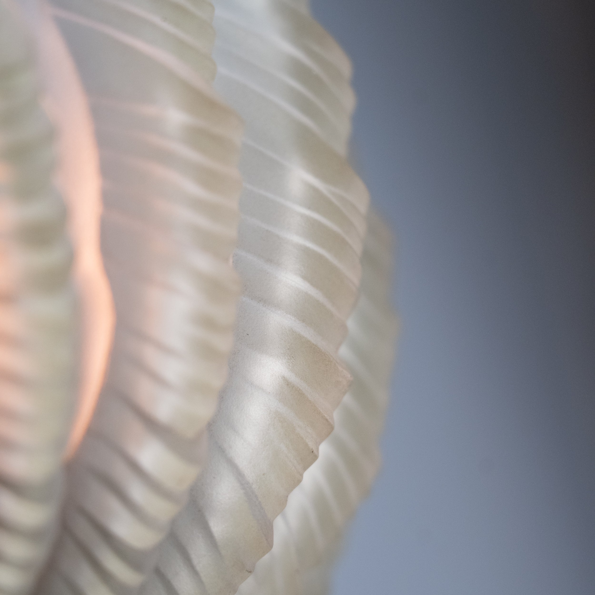 shell sconces | Scott Landon Antiques and Interiors.