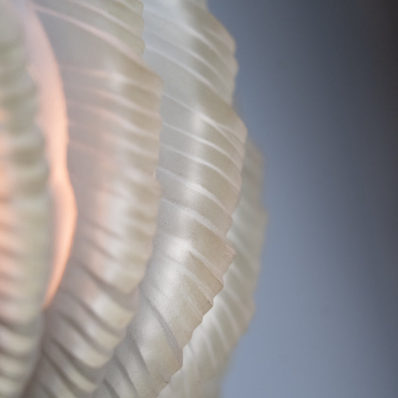 shell sconces | Scott Landon Antiques and Interiors.