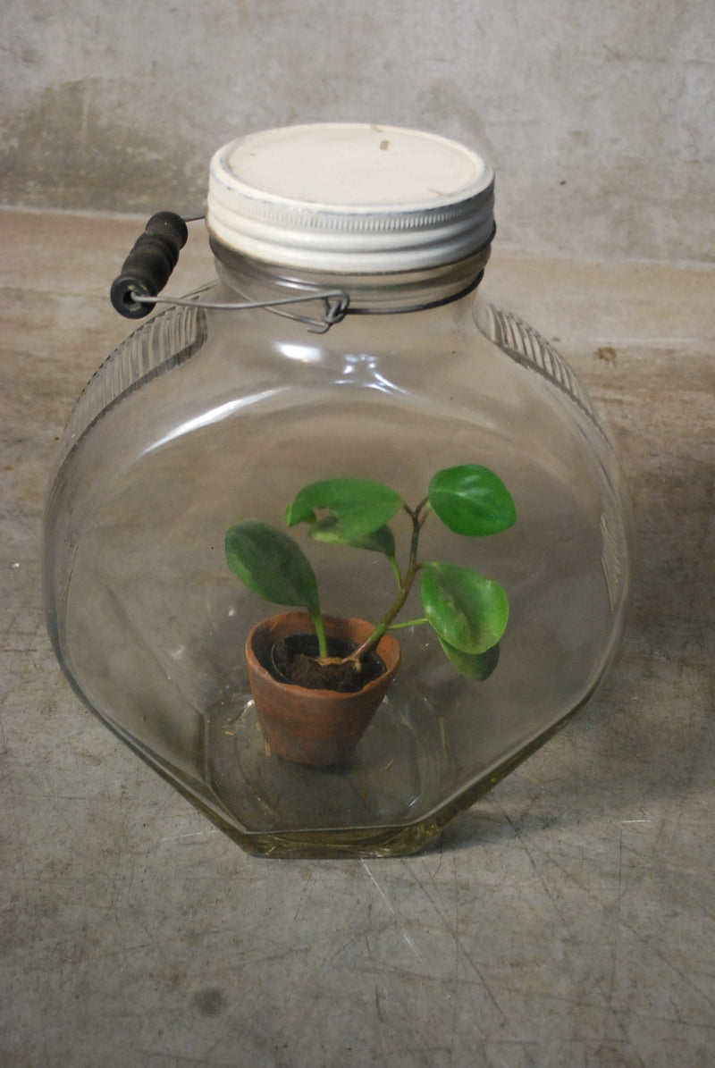 1930 Large candy jar | Scott Landon Antiques and Interiors.