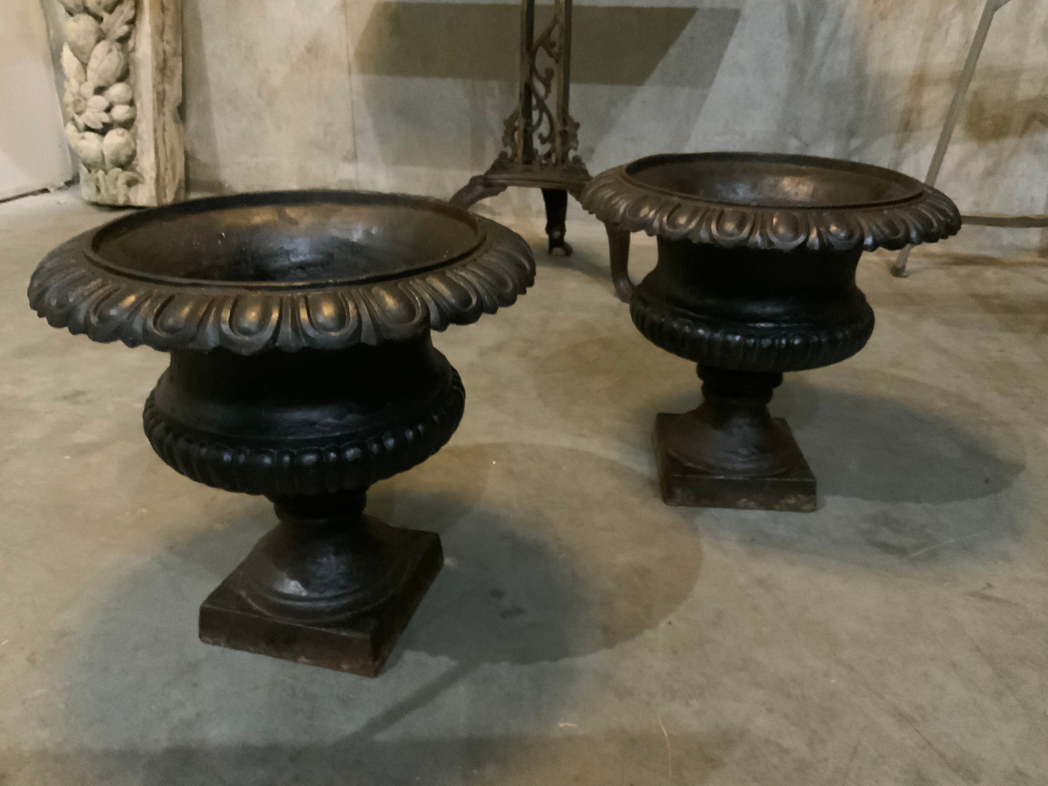 19th century  cast iron French garden planters | Scott Landon Antiques and Interiors.