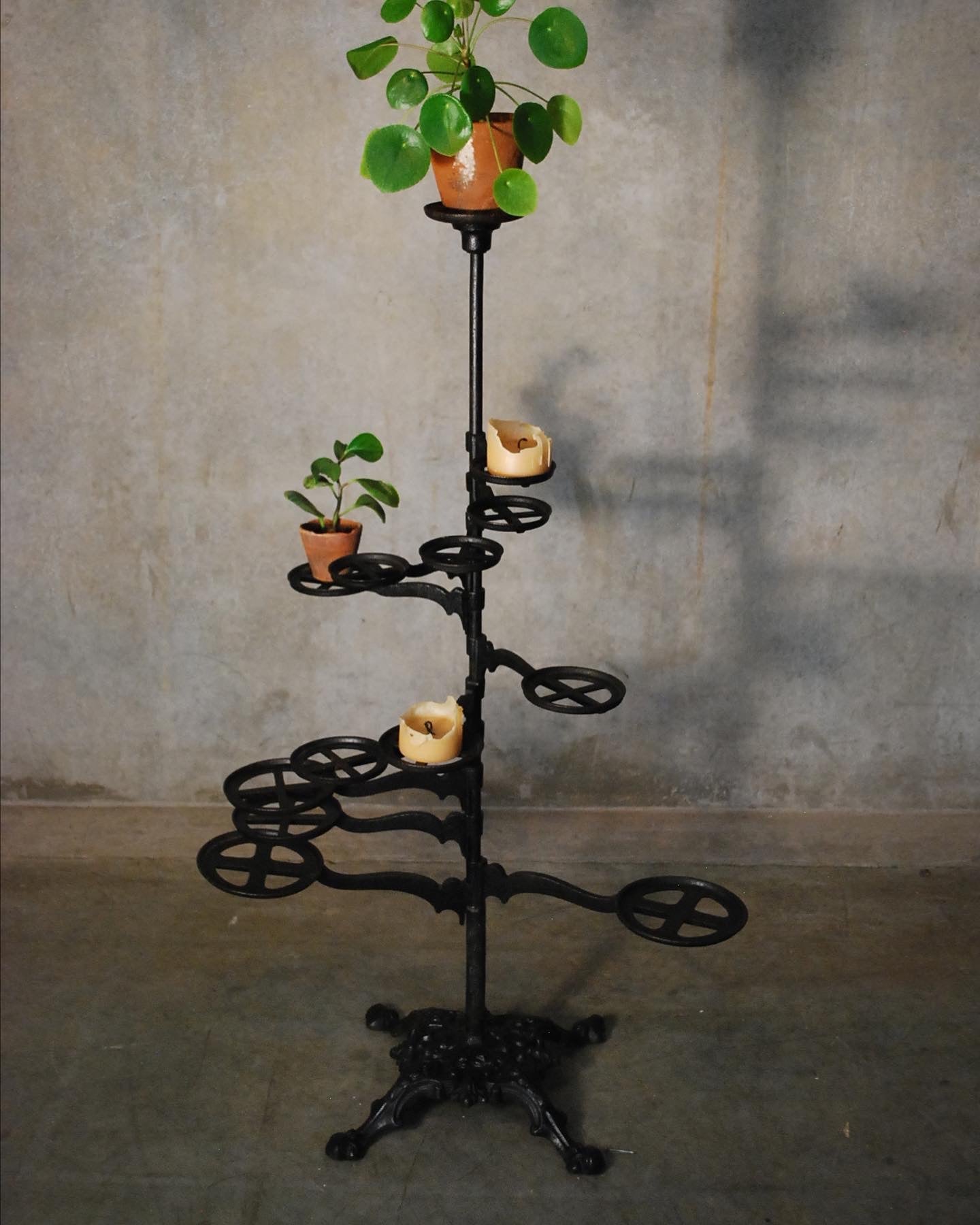19th century  Cast iron revolving flower plant stand  by   Chase & co. 1882 | Scott Landon Antiques and Interiors.