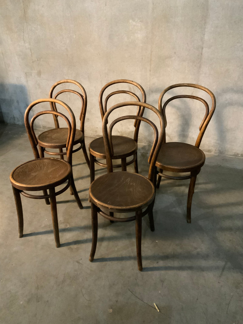 Set of five 1920 signed Mundus thonet bentwood chairs | Scott Landon Antiques and Interiors.