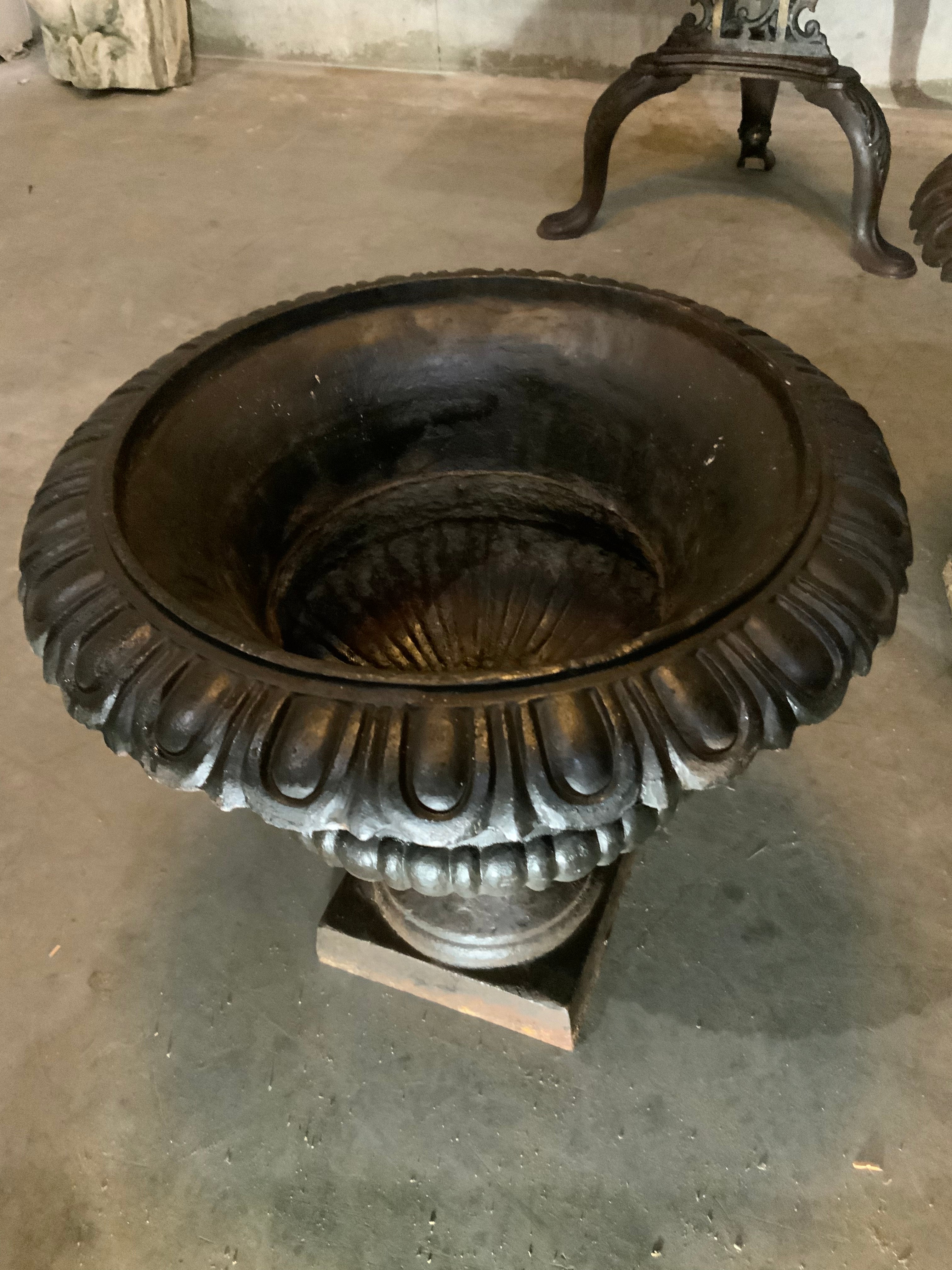 19th century  cast iron French garden planters | Scott Landon Antiques and Interiors.