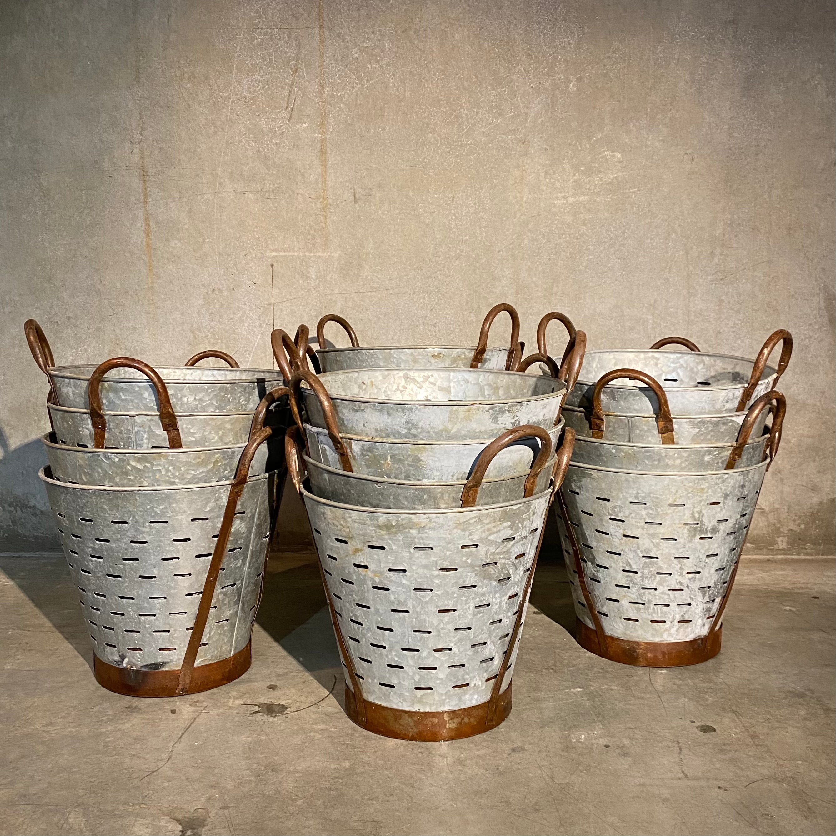 Olive Harvest Baskets