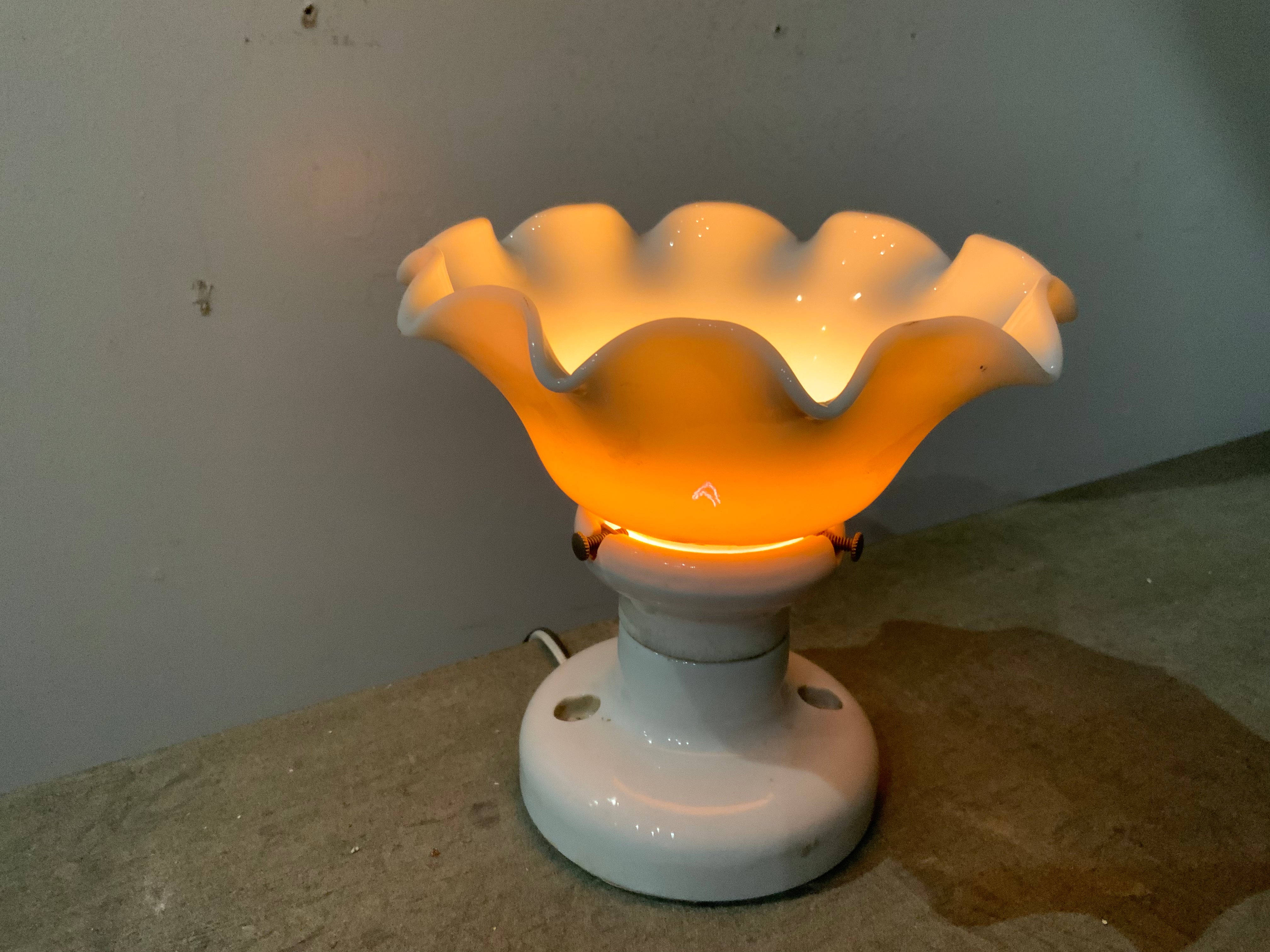 1910 Porcelain Glass Flush Mount Light Fixture