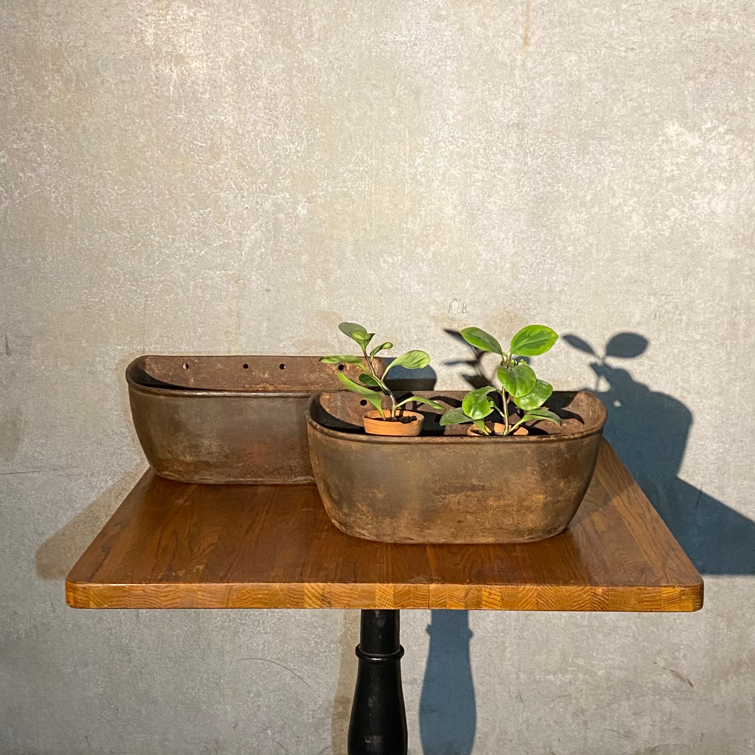 1920 cast iron wall mount Planters