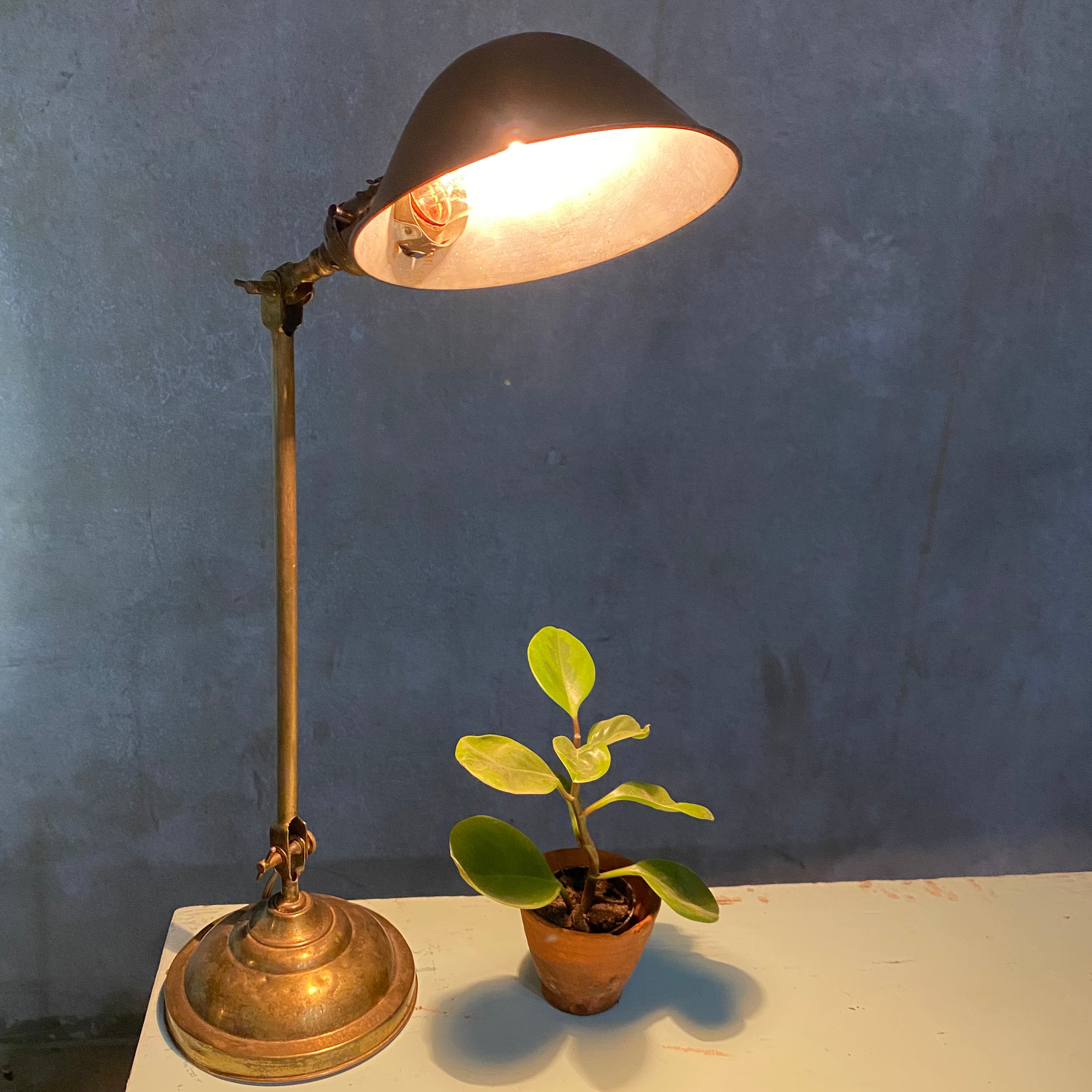 Faeries Brass industrial Lamp